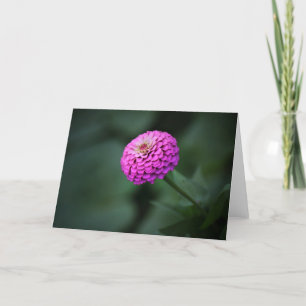 Contemplative Zinnia Note Card