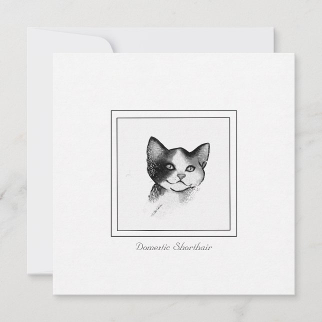 Contemporary Cat Sketch of a Domestic Shorthair    Card (Front)
