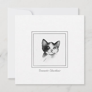 Contemporary Cat Sketch of a Domestic Shorthair    Card