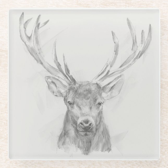 Contemporary Elk Sketch Glass Coaster (Front)