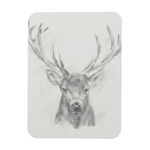 Contemporary Elk Sketch Magnet