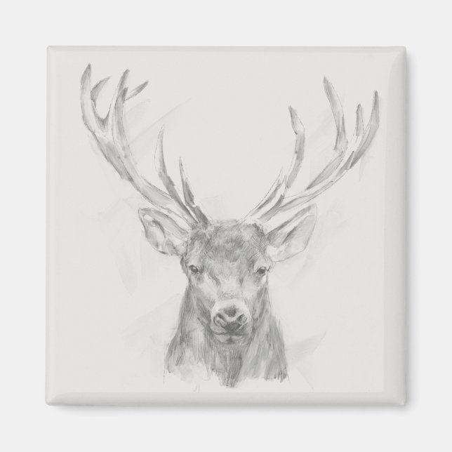 Contemporary Elk Sketch Magnet (Front)