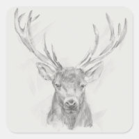Contemporary Elk Sketch