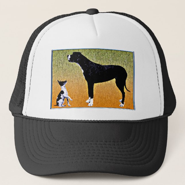 Contemporary Graphic Edge. Trucker Hat (Front)