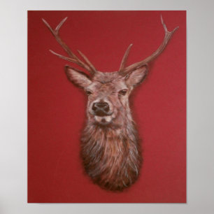 Contemporary Highland Red Deer Stag Poster