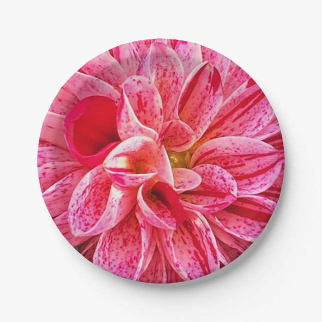 contemporary Pink Floral Photography Paper Plate (Front)