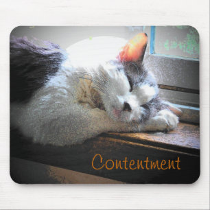 Content Sleeping Kitty Mouse Mat