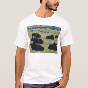 Contentment Is Good For The Soul T-Shirt