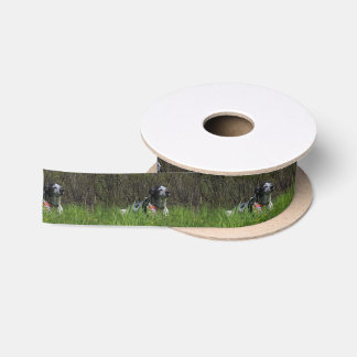 Contentment Satin Ribbon