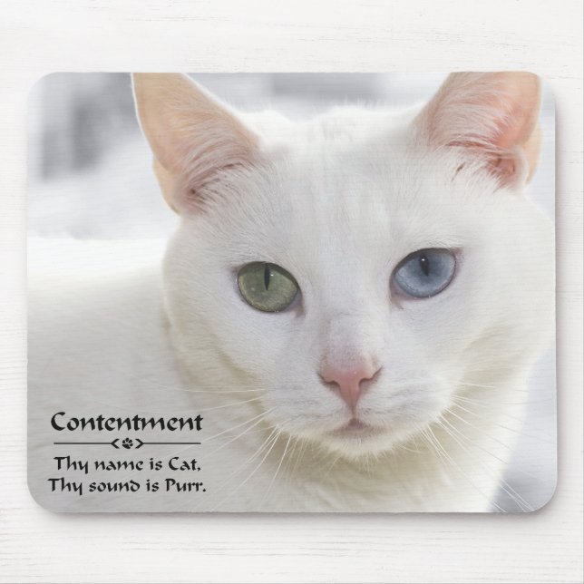 Contentment  thy name is cat mouse mat (Front)