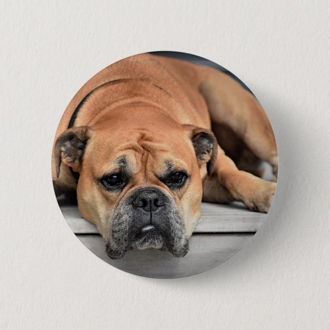 Continental Bulldog Customisable 6 Cm Round Badge (Front)