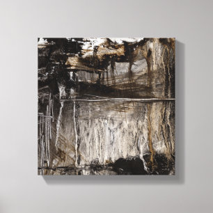 Continuum II Canvas Print