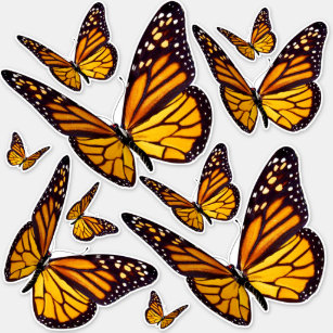 Contour Kiss-cut Monarch Butterfly Vinyl Sticker
