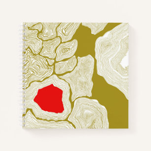 Contours, Topographical book