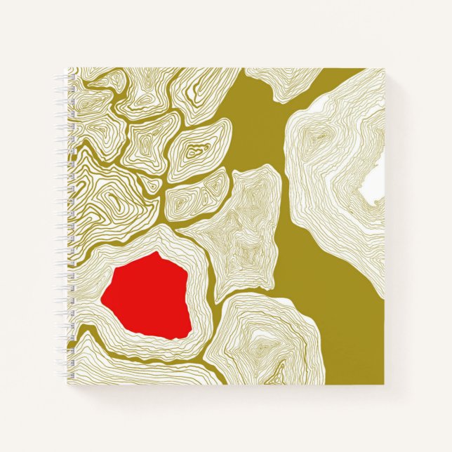 Contours, Topographical book (Front)