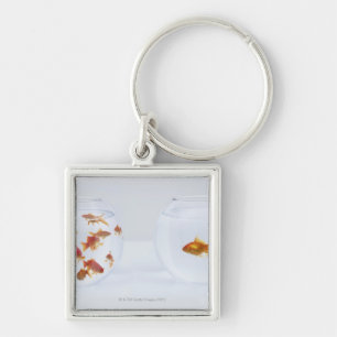 Contrast of  many goldfish in fishbowl and key ring