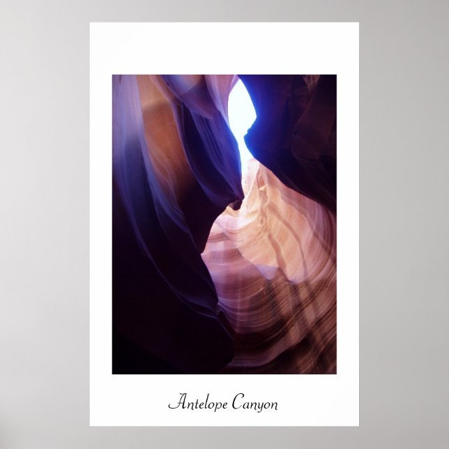 Contrast Poster (Front)