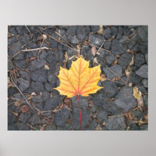 Contrasting Leaf- poster