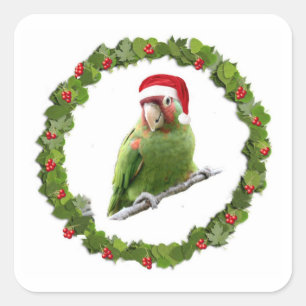 Conure Christmas Wreath Square Sticker