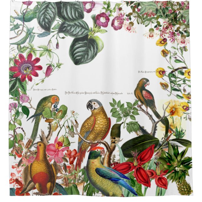 Conure Macaw Parrot Birds Tropical Shower Curtain (Front)