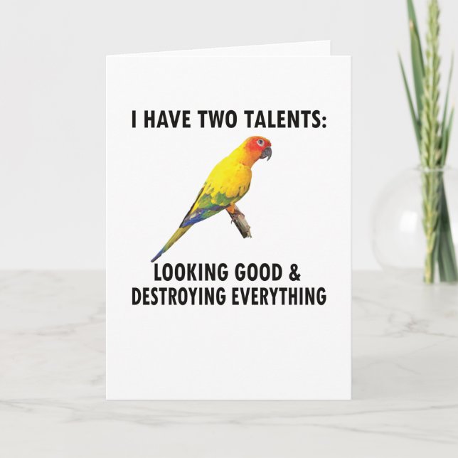 Conure Owner Gifts Conure Lover Parrot Sun Conure Card (Front)