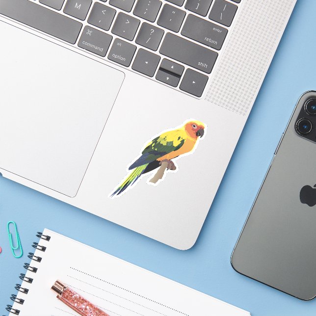 Conure Parrot  (Laptop w/ iPhone)