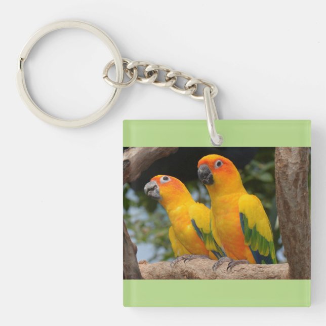 Conures Key Chain (Front)