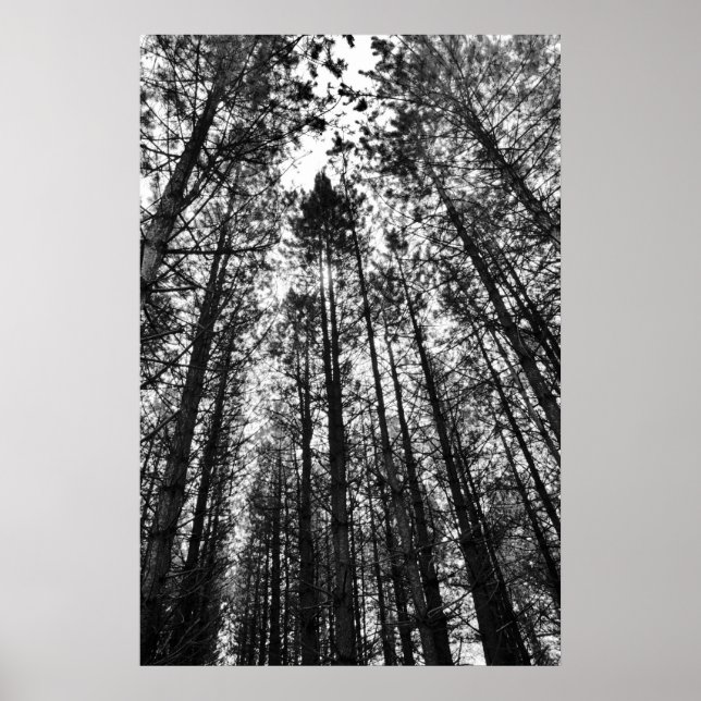 Converging Minds Poster (Front)