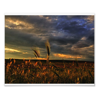 Conversation with the wind photo print