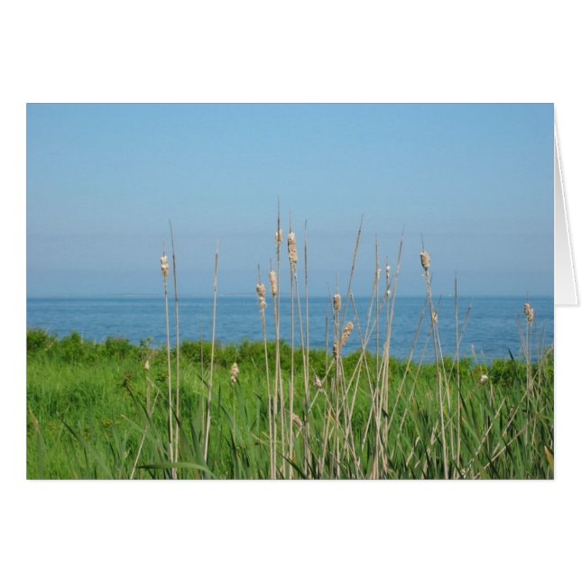 Conversations by the Sea (Front Horizontal)