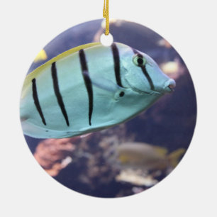 Convict Tang Gitter-Doktorfisch Ceramic Tree Decoration