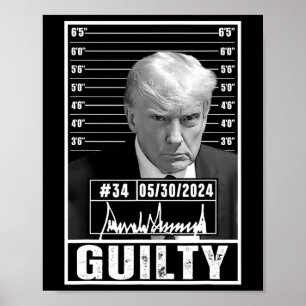 Conviction Verdict Donald Trump Mug Shot Jail Pict Poster