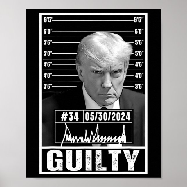 Conviction Verdict Donald Trump Mug Shot Jail Pict Poster (Front)