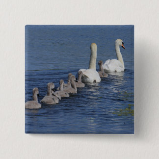 Convoy of Swans 15 Cm Square Badge