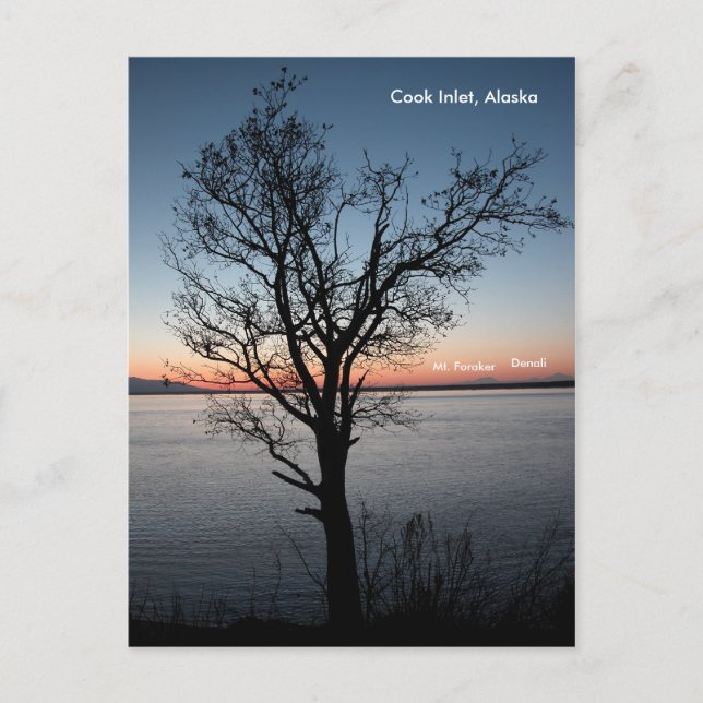 Cook Inlet with Denali and Mt. Foraker - Alaska Postcard (Front)