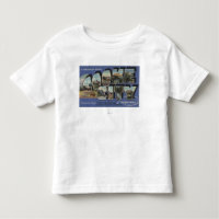 Cooke City, Montana - Large Letter Scenes