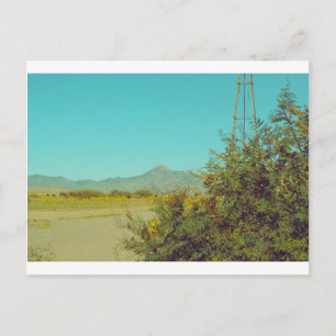 Cookes Peak Postcard 10