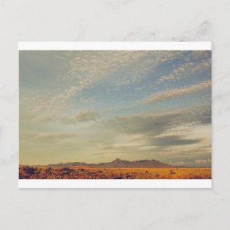 Cookes Peak Postcard 13