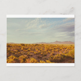 Cookes Peak Postcard 14