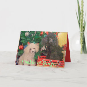 Cookie & Ginger Celebrate Christmas Holiday Card