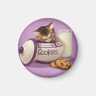 Cookie jar kitten magnet