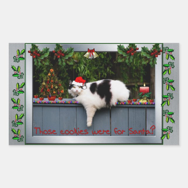 Cookie Loving Cat Rectangular Sticker (Front)