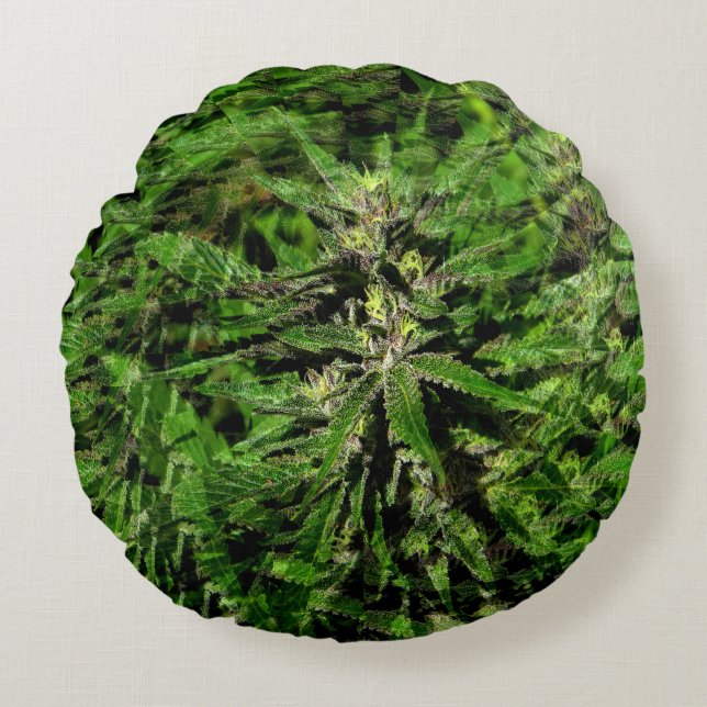 Cookie Monster......  Round Cushion (Front)