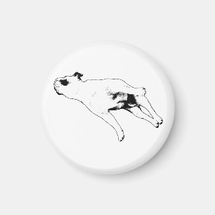 Cookie-Tray Calm Magnet