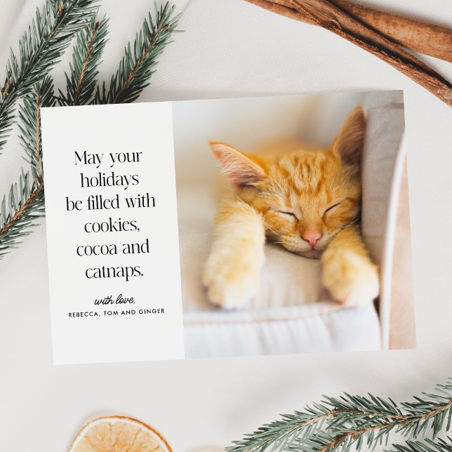 Cookies Cocoa Catnaps Pet  Holiday Card (Creator Uploaded)