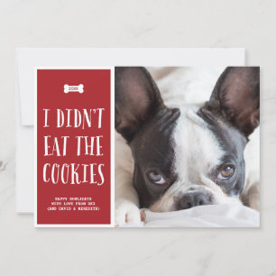 Cookies Cute Pet Holiday Photo Card