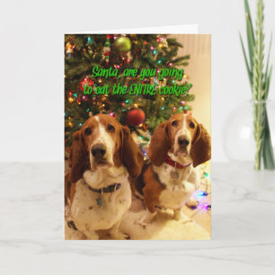 Cookies for Hounds Holiday Card