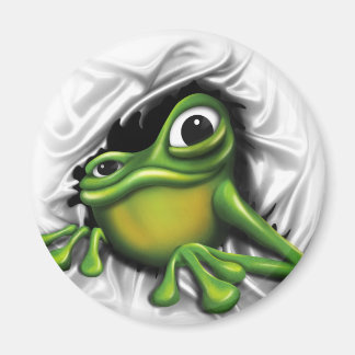 Cool 3d frog magnet