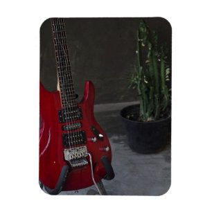 Cool Acoustic Guitar Magnet