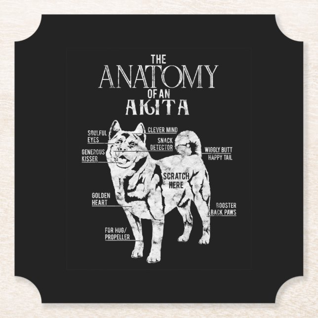 Cool Akita Anatomy Clos Gifts Dog Lovers Paper Coaster (Front)